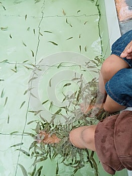 Foot therapy with fish in the pond photo