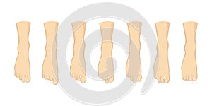 Foot toe shape types set.
