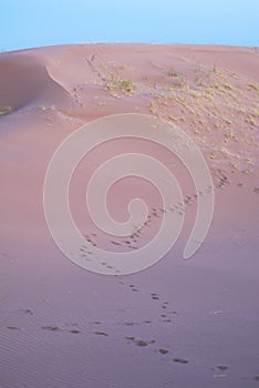 Trail of footprints on the purple desert sands on a clear day at dusk