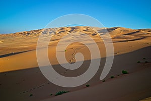 A foot trails across Liwa desert in Abu Dhabi.