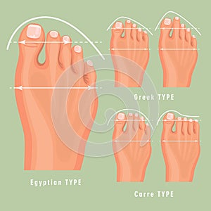 Foot type vector detailed concept with germanic, celtic, greek and roman foegyptian, carre and greek form