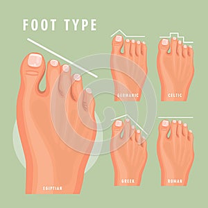 Foot type vector detailed concept with germanic, celtic, greek and roman form photo