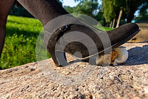 Foot of a woman poised above a whole hens egg on the ground