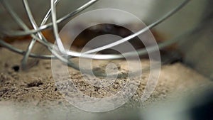 Footage of a bowl full of flour and a stand mixer being prepared for mixing the flour.