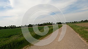 Footage from a car on a dirt road with meadow fields with trees and cloudy sky on the horizon