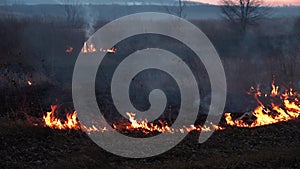 Footage of dangerous smoke, field in fire, ecology destruction