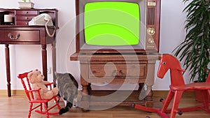 footage Dated TV Set with white Screen Mock Up Chroma Key Template Display, living room, cat walks, empty old rocking horse,