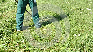 Footage of a farmer hand mowing the grass on a field with a scythe