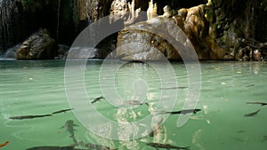 Footage of fish swimming under water around Erawan waterfall , popular famous tourist attraction in Kanchanaburi, Thailand.