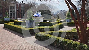 Footage of a gorgeous winter landscape in the garden with bare trees, lush green plants, a water fountain with benches at Atlanta