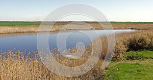 Footage of a Jegricka nature reserve in Vojvodina