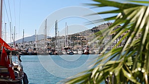 Footage of luxury sail boats and yachts at Bodrum marina.