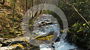 footage of the rushing waters of Smith Creek with rocks and lush green trees and plants at Anna Ruby Falls in Helen Georgia