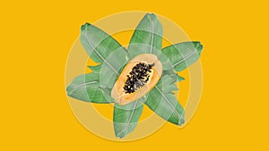 Footage in stop motion style of jiggling wiggling ripe juicy papaya on green leaves on bright yellow background. Summer fun