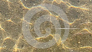 A footage taken from above the surface of a shallow, clear stream, revealing pebbles and sand with beautiful reflections.