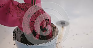 Footage of woman in pink gloves reseeding home plant