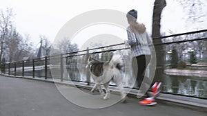 Footage of young girl running with her dog, alaskan malamute