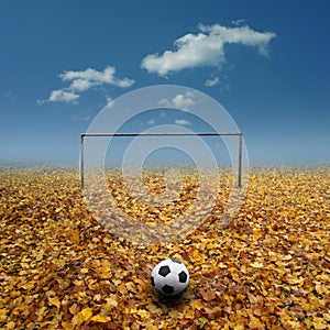 Footbal pitch