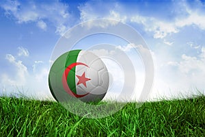 Football in algeria colours