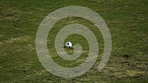 A football in the centre of the football pitch.