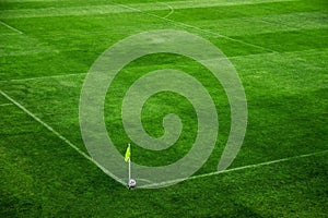 Football court pitch grass pole lines closeup