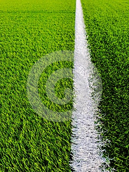 Football field green grass, green pitch with white guide line, beautiful green sports background