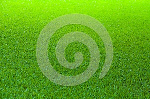 Football field green grass pattern texture background