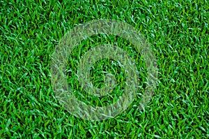 Football field green grass pattern texture background