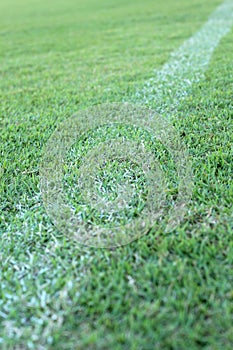 Football field line on the green grass.