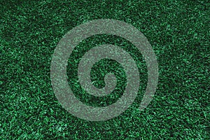 Football field texture, top view.Artificial green grass