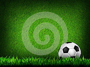 Football in green grass
