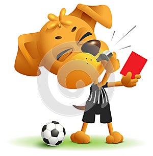 Football referee Dog shows red card. Soccer arbiter whistles photo