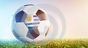 Football soccer ball with flag of Uruguay on grass