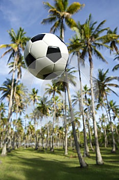Football Soccer Ball Flying in Brazilian Palm Grove