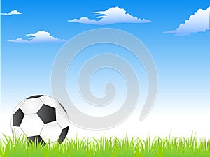 Football or soccer ball on the grass