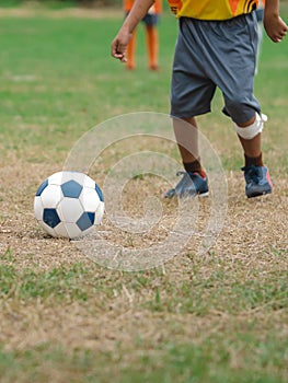 Football soccer children training class. Kindergarten and elementary school kids playing football in a field. Group of boys