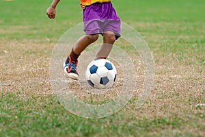 Football soccer children training class. Kindergarten and elementary school kids playing football in a field. Group of boys