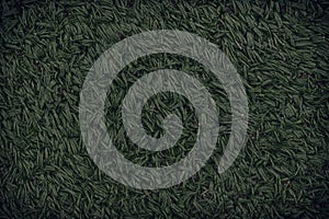 Football or soccer field, background for web site or mobile devices