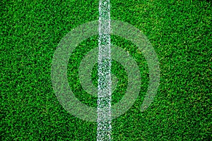 Football/soccer field fresh grass background, texture
