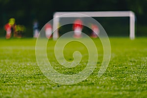 Football soccer field. Low angle image of green turf on soccer pitch