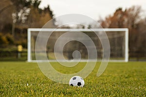 Football or soccer goal post on a green grass pitch in a park. Nobody. Calm mood. Sport theme background. Training ground for