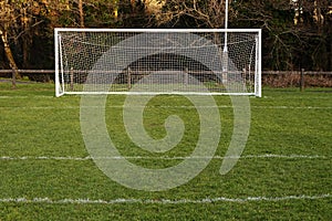 Football or soccer goal post on a green grass pitch in a park. Nobody. Calm mood. Sport theme background. Training ground for