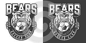 Football team angry bear mascot emblem