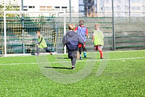 Football team - boys in red and blue, green uniform play soccer on the green field. Team game, training, active lifestyle