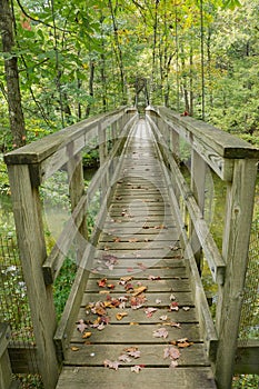 Footbridge on the Appalachian Trail