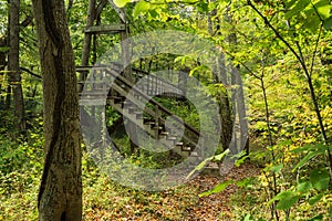 Footbridge on the Appalachian Trail