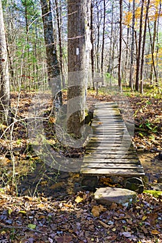 Footbridge on the Appalachian Trail