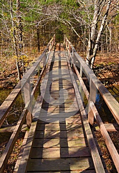 Footbridge on the Appalachian Trail photo