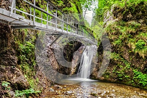 Footbridge and cascade in forest