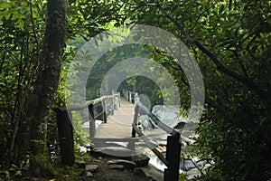 Footbridge, Chimney Tops Trail, GSMNP